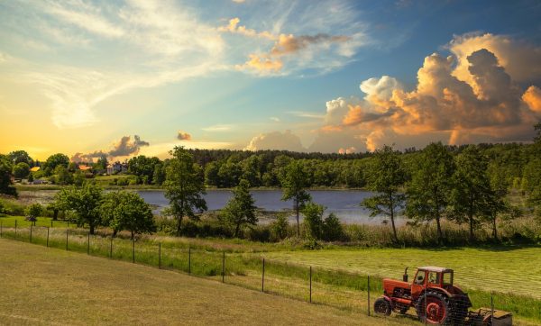 Rolnictwo ekologiczne Rolnictwo ekologiczne